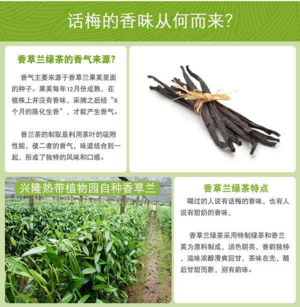 香草兰绿茶