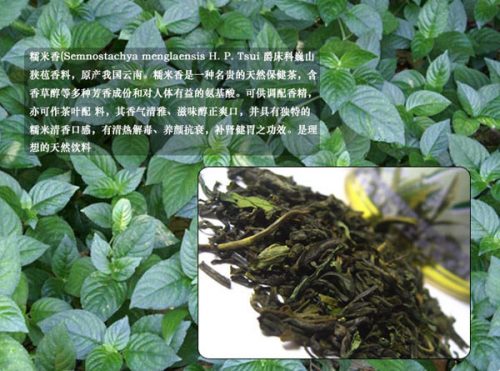 香草兰米香茶